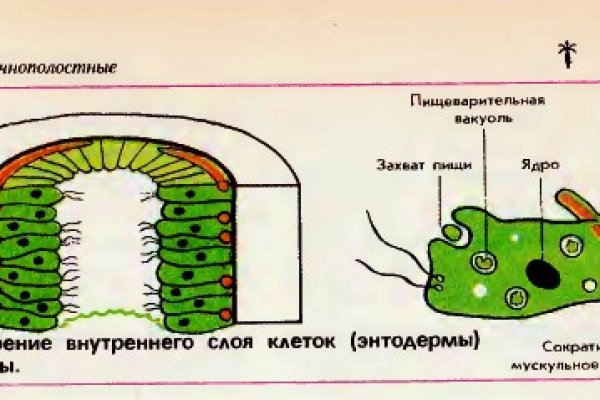 Сайт кракен тор