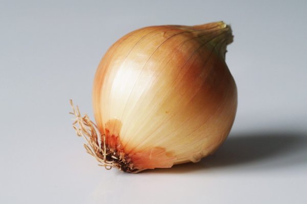 Кракен сайт официальный onion